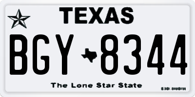 TX license plate BGY8344
