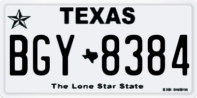 TX license plate BGY8384