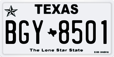 TX license plate BGY8501