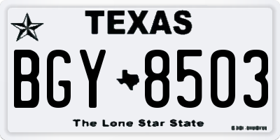 TX license plate BGY8503