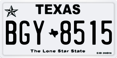 TX license plate BGY8515