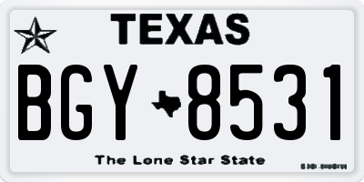 TX license plate BGY8531