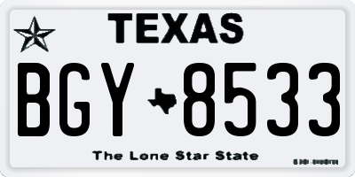 TX license plate BGY8533