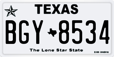 TX license plate BGY8534
