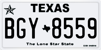TX license plate BGY8559