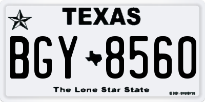 TX license plate BGY8560
