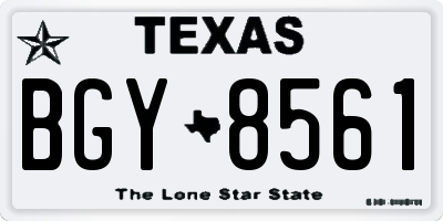 TX license plate BGY8561