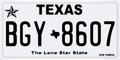 TX license plate BGY8607