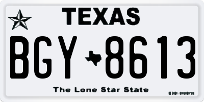 TX license plate BGY8613