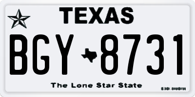 TX license plate BGY8731