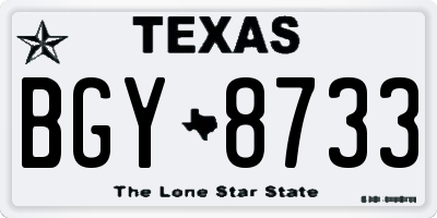 TX license plate BGY8733