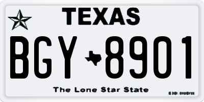 TX license plate BGY8901