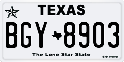 TX license plate BGY8903
