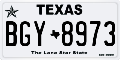 TX license plate BGY8973