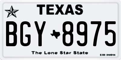 TX license plate BGY8975