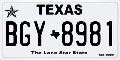TX license plate BGY8981