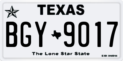 TX license plate BGY9017