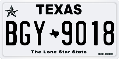 TX license plate BGY9018