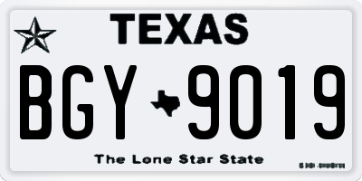 TX license plate BGY9019