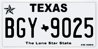 TX license plate BGY9025