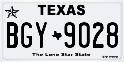 TX license plate BGY9028