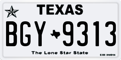 TX license plate BGY9313