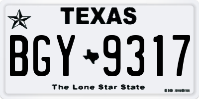 TX license plate BGY9317