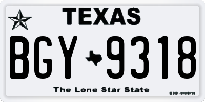 TX license plate BGY9318