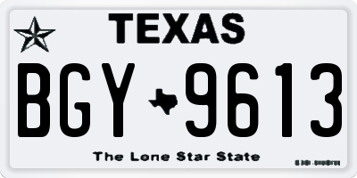 TX license plate BGY9613