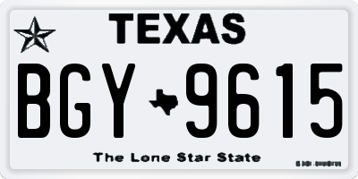 TX license plate BGY9615