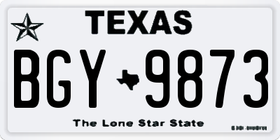TX license plate BGY9873