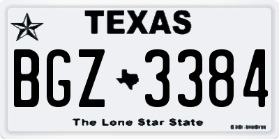 TX license plate BGZ3384
