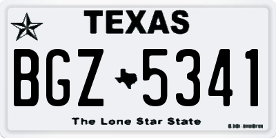 TX license plate BGZ5341