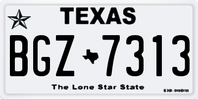 TX license plate BGZ7313