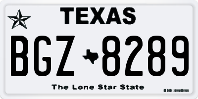 TX license plate BGZ8289