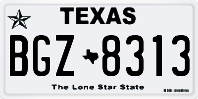 TX license plate BGZ8313