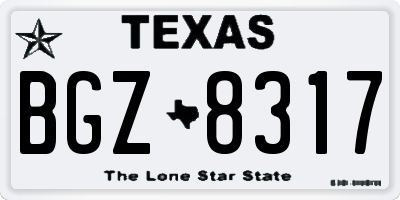 TX license plate BGZ8317