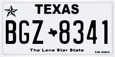TX license plate BGZ8341