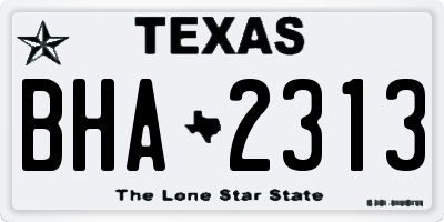 TX license plate BHA2313