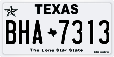 TX license plate BHA7313