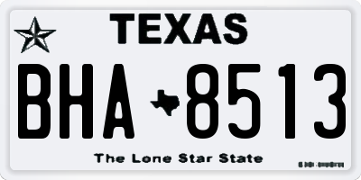 TX license plate BHA8513