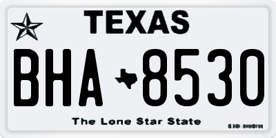 TX license plate BHA8530
