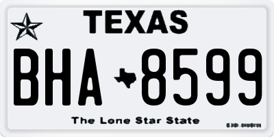 TX license plate BHA8599