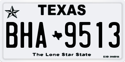 TX license plate BHA9513