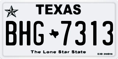TX license plate BHG7313