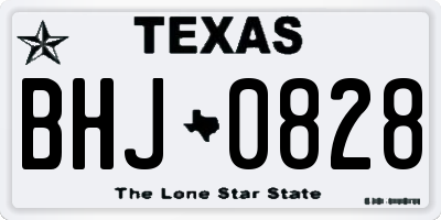 TX license plate BHJ0828