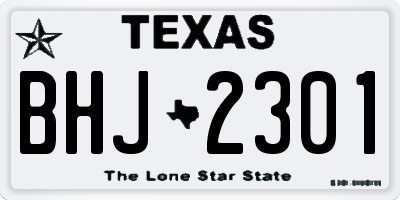 TX license plate BHJ2301