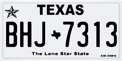 TX license plate BHJ7313