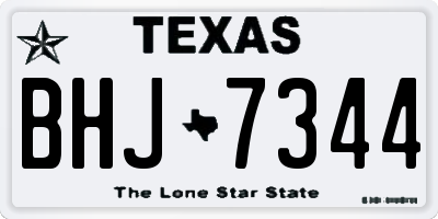 TX license plate BHJ7344