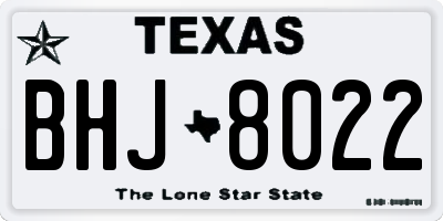 TX license plate BHJ8022